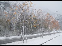 2012 10 25 3225-border  Winter in Romsdalen met een beetje herfst